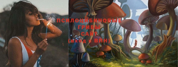 тгк Аркадак