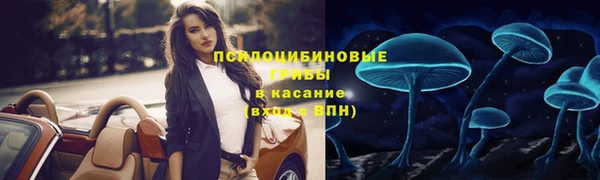 мдпв Армянск