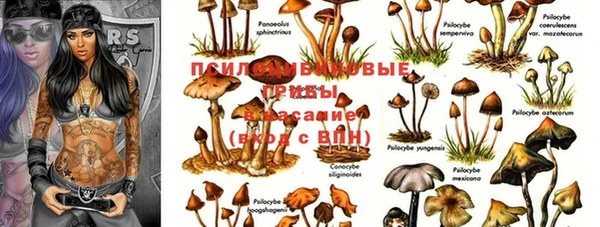 каннабис Арсеньев
