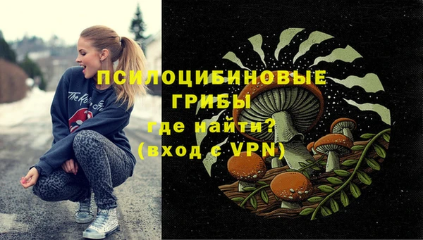 мдпв Армянск