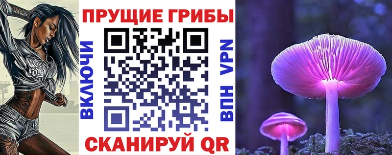 Псилоцибиновые грибы Cubensis  закладки  Нязепетровск 